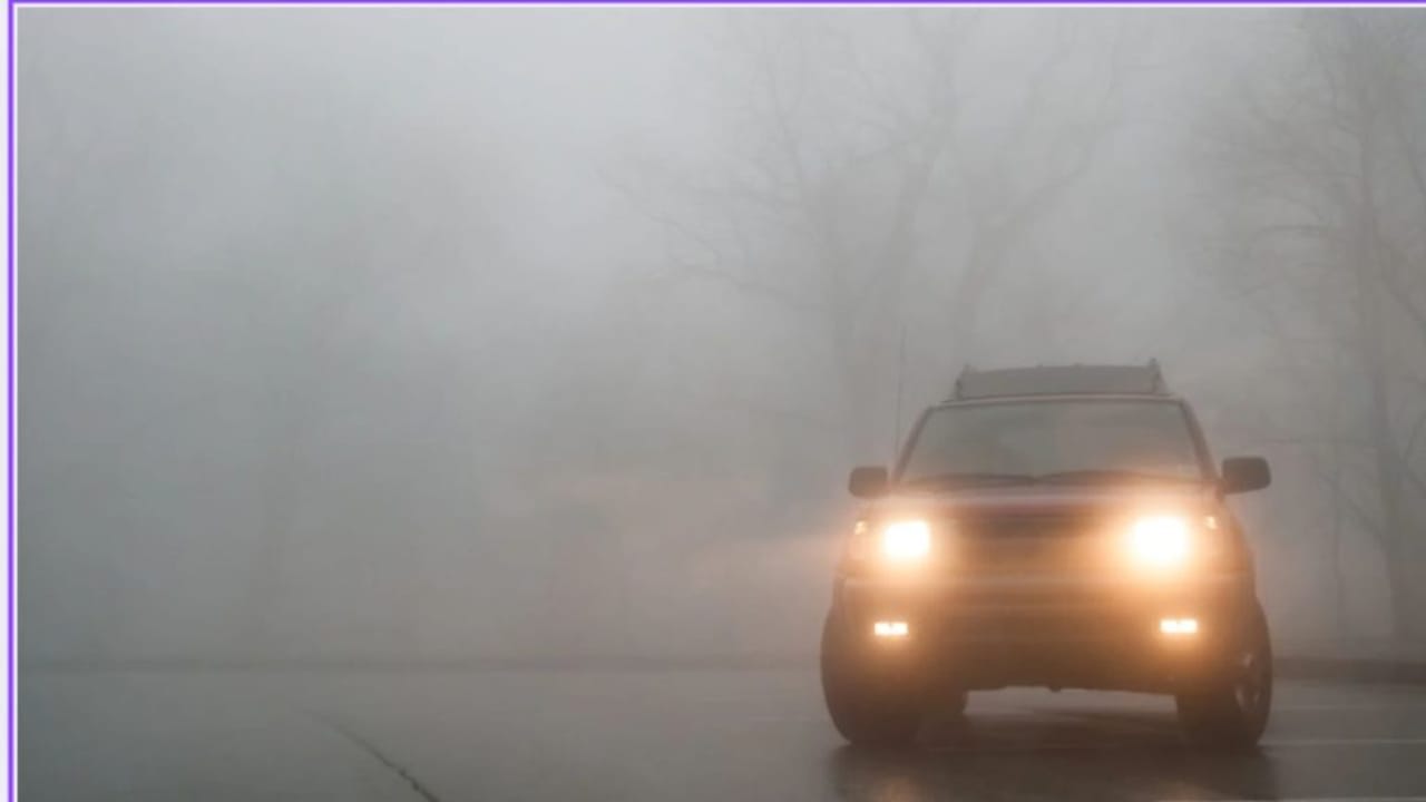 सर्दियों में फिर लौटा घना कोहरा, लंबी ड्राइव पर निकलने से पहले जानें 6 सेफ्टी टिप्स