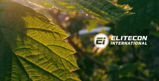 16 महीनों में 7700% रिटर्न देने वाली कंपनी ने बढ़ाई borrowing limit, जानें अब क्यों टिकी सबकी नजर