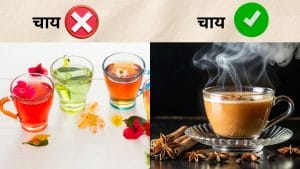 रंग बिरंगी ड्रिंक्स नहीं हैं ‘चाय’, FSSAI ने समझा दी असली परिभाषा, ‘Tea’ में होना चाहिए ये जायका