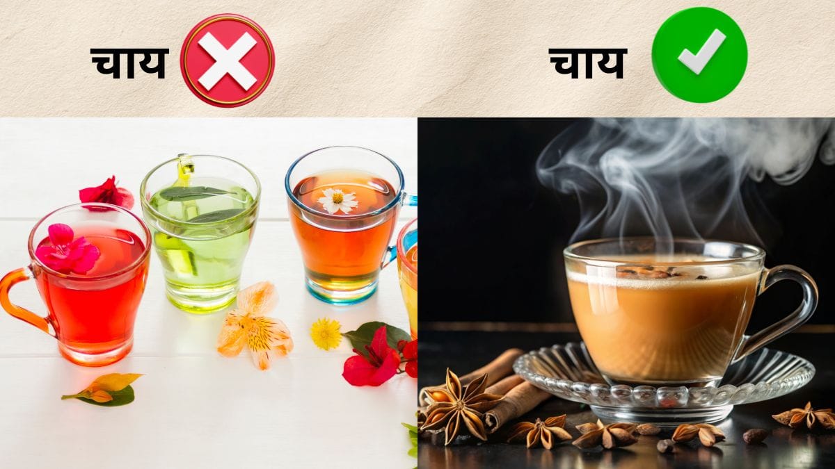 रंग बिरंगी ड्रिंक्स नहीं हैं ‘चाय’, FSSAI ने समझा दी असली परिभाषा, ‘Tea’ में होना चाहिए ये जायका