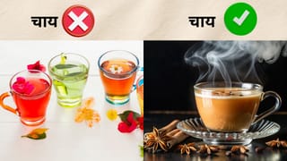 रंग बिरंगी ड्रिंक्स नहीं हैं ‘चाय’, FSSAI ने समझा दी असली परिभाषा, ‘Tea’ में होना चाहिए ये जायका