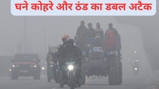 दिल्ली-NCR में केवल 50 मीटर विजिबिलिटी, UP के इन इलाकों में पहुंचेगा 5 डिग्री पारा, 29 दिसंबर तक कई राज्यों में बढ़ेंगी मुश्किलें