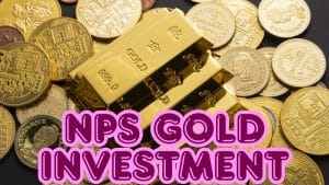 सरकारी Vs प्राइवेट कर्मचारी: NPS में सोना चांदी निवेश के नए नियम, जानें किसे मिलेगा ज्यादा मौका