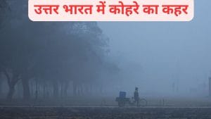 उत्तर भारत में कोहरे का कहर, यूपी-पंजाब-हरियाणा में 1 जनवरी तक अलर्ट, कई राज्यों में कोल्ड वेव की दस्तक