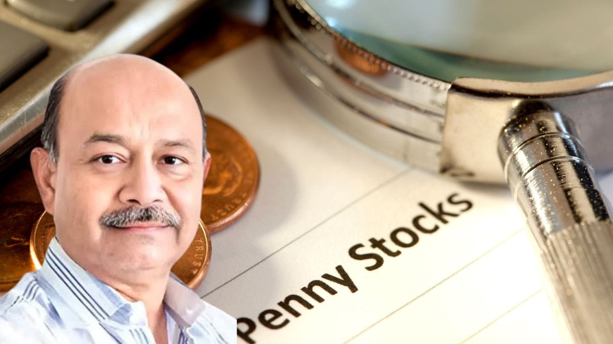 पेनी स्टॉक में दमानी की ‘हिडन बेट’, जीरो डेट, 45% ROCE और 40% डिस्काउंट! क्या बन सकता है अगला मल्टीबैगर?