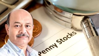 पेनी स्टॉक में दमानी की ‘हिडन बेट’, जीरो डेट, 45% ROCE और 40% डिस्काउंट! क्या बन सकता है अगला मल्टीबैगर?