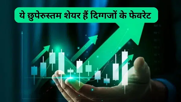 ये 2 छुपे रुस्तम शेयर हैं दिग्गजों के फेवरेट, कंपनी पर कर्ज लगभग जीरो, बांटती हैं मोटा डिविडेंड, रिटर्न भी दमदार ये 2 छुपे रुस्तम शेयर हैं दिग्गजों के फेवरेट, कंपनी पर कर्ज लगभग जीरो, बांटती हैं मोटा डिविडेंड, रिटर्न भी दमदार