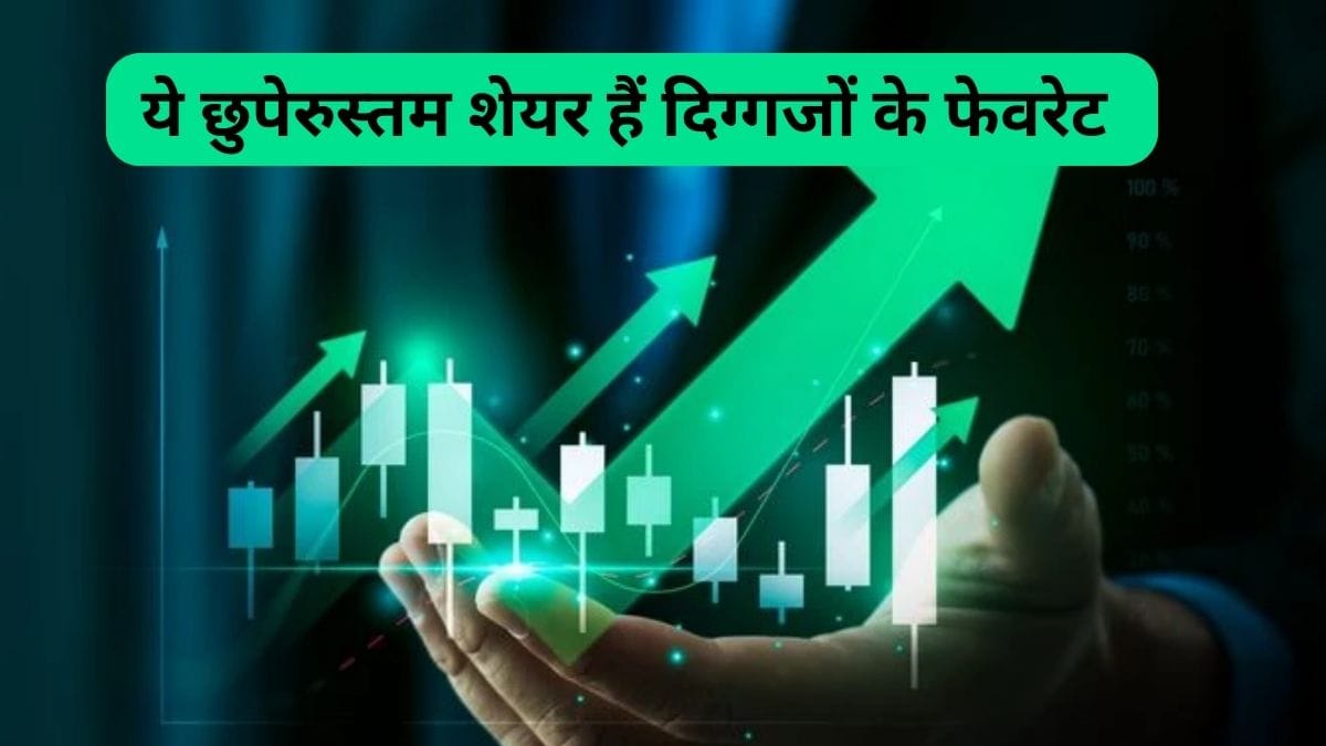 ये 2 छुपे रुस्‍तम शेयर हैं दिग्‍गजों के फेवरेट, कंपनी पर कर्ज लगभग जीरो, बांटती हैं मोटा डिविडेंड, रिटर्न भी दमदार