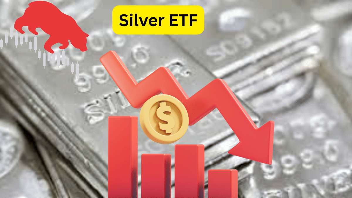 गोल्ड और सिल्वर के ETF में भारी गिरावट, Silver ETF 16 प्रतिशत तक टूटे, जानें क्या है वजह?