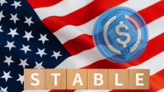 RBI के डिप्टी गवर्नर रबी शंकर ने कहा, बलकॉइन्स हैं रिस्की, इन कोई मकसद नहीं है… रहें सावधान