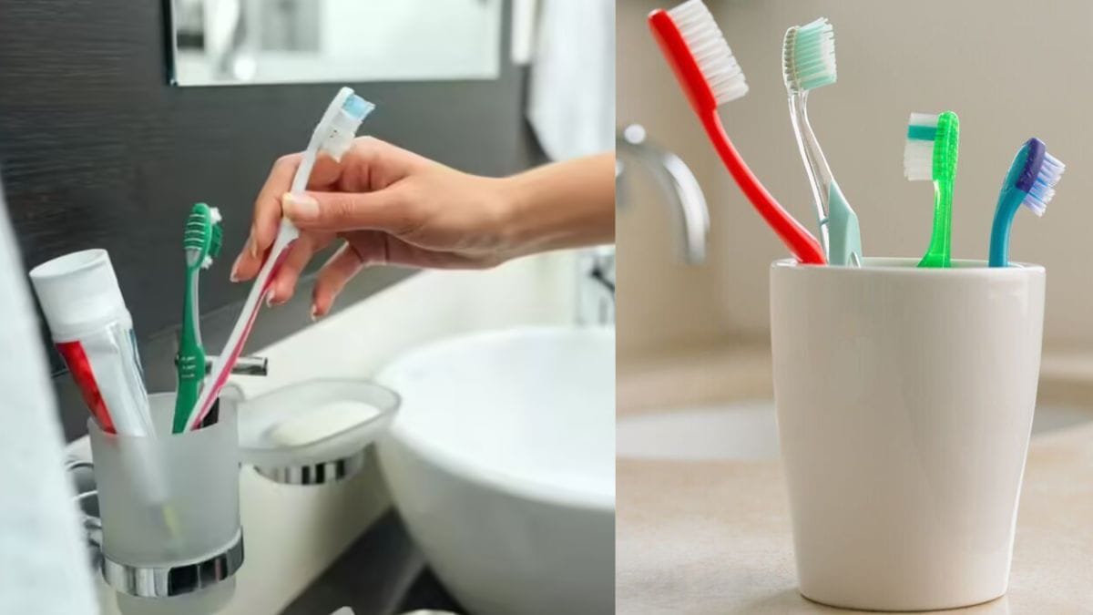 कहीं आप भी तो टूथब्रश को बाथरूम में रखने की नहीं करते गलती? हो सकता है बड़ा नुकसान