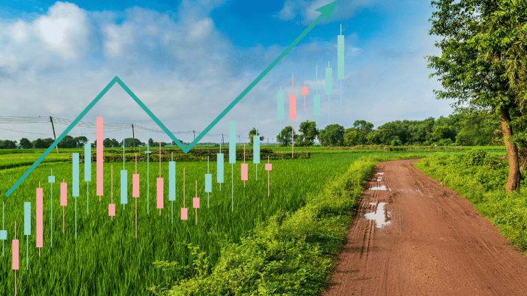 FMCG से लेकर एग्री कंपनियों तक… गांवों में खपत लौटने से इन 4 कंपनियों की मौज, रेवेन्यू में 22% तक की बढ़ोतरी