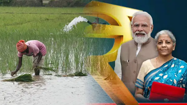 Union Budget 2026: मछली पालन-पशुपालन पर फोकस, बजट में किसानों को क्या-क्या मिला? Union Budget 2026: मछली पालन-पशुपालन पर फोकस, बजट में किसानों को क्या-क्या मिला?