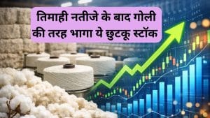 रुई बनाने वाली इस छुटकू कंपनी का स्‍टॉक बना रॉकेट, 7,070% बढ़ा नेट प्रॉफिट, बोनस का भी ऐलान, ₹15 से कम है भाव