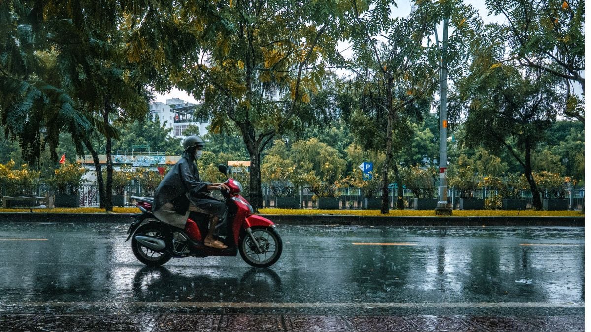 दिल्ली, यूपी, हरियाणा में मौसम का अलर्ट! बारिश, तेज हवाएं और कोहरा करेगा ट्रिपल अटैक, कुछ दिन रहें सतर्क