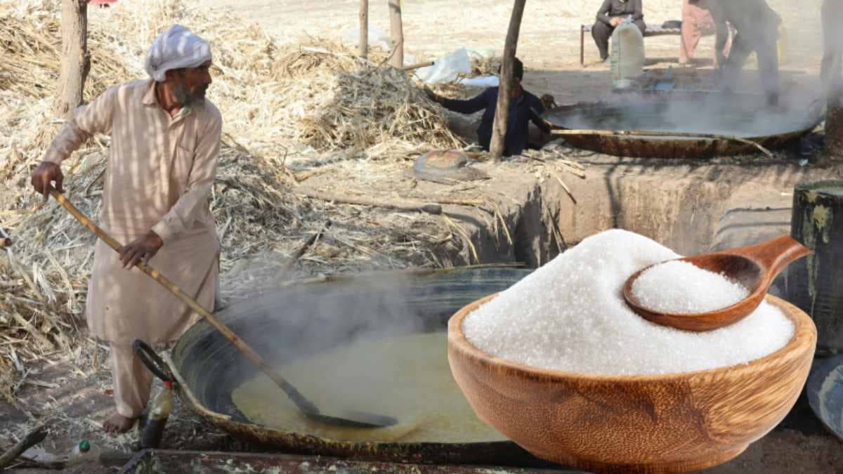 भारी बारिश के कारण भारत में चीनी का उत्पादन उम्मीद से कम रहने का अनुमान, क्या बढ़ेगी कीमत? भारी बारिश के कारण भारत में चीनी का उत्पादन उम्मीद से कम रहने का अनुमान, क्या बढ़ेगी कीमत?