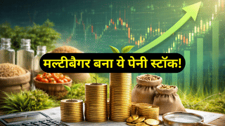 मल्टीबैगर बना ये 3 पेनी स्टॉक! 5 साल में 700% तक रिटर्न, कर्ज मुक्त है कंपनी, शेयर की कीमत ₹2 से भी कम