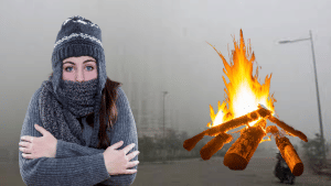 ठंड के बीच 20 जनवरी को इन राज्यों में बारिश के आसार, UP-बिहार के 30 जिलों में भारी कोहरे का अलर्ट, जानें दिल्ली का हाल