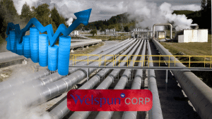 डिफेंस से लेकर न्यूक्लियर और एयरोस्पेस तक: कैसे क्रिटिकल सेक्टर्स में अपना कारोबार बढ़ा रहा यह स्टील शेयर