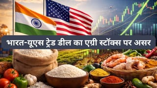 भारत-US ट्रेड डील से इन एग्री स्‍टॉक्‍स की लगेगी लॉटरी! LT Foods समेत इन 3 शेयरों में दिख सकती है हलचल, रखें नजर