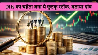 ₹35 से सस्‍ते इस छुटकू स्‍टॉक पर DIIs लट्टू, 0.6% से सीधे 1.4% तक बढ़ाई हिस्‍सेदारी, Q3 रिजल्‍ट से मिला बूस्‍ट