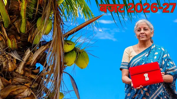 Budget 2026: खेती का गेम बदलेगी सरकार, नारियल-काजू समेत इन फसलों से बढ़ेगी कमाई; AI ऐसे करेगा किसानों की मदद Budget 2026: खेती का गेम बदलेगी सरकार, नारियल-काजू समेत इन फसलों से बढ़ेगी कमाई; AI ऐसे करेगा किसानों की मदद