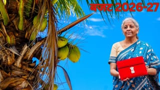 Budget 2026: खेती का गेम बदलेगी सरकार, नारियल-काजू समेत इन फसलों से बढ़ेगी कमाई; AI ऐसे करेगा किसानों की मदद
