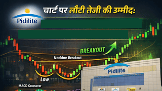Pidilite Industries: चार्ट पर लौटी तेजी की उम्मीद, शेयर में डबल-बॉटम ब्रेकआउट, ₹1468 के ऊपर टिके तो बन सकता है नया अपट्रेंड