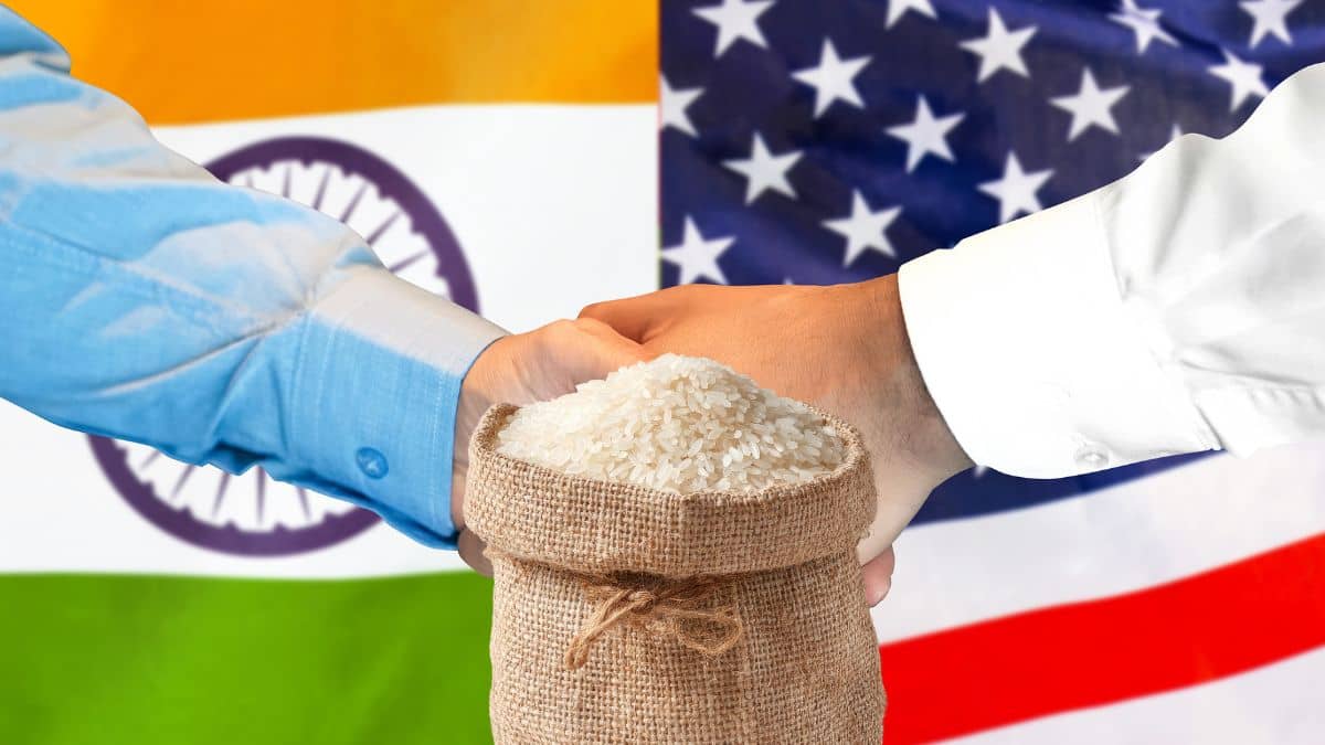 India-US ट्रेड डील इंपैक्ट: अमेरिका को 5000 टन बासमती चावल सप्लाई करेगा भारत, IREF ने की डील India-US ट्रेड डील इंपैक्ट: अमेरिका को 5000 टन बासमती चावल सप्लाई करेगा भारत, IREF ने की डील