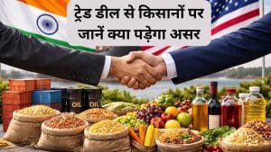 भारत ने अमेरिका के लिए कृषि क्षेत्र में क्या खोला, जानें किन प्रोडक्ट पर लगेगी जीरो ड्यूटी और किन पर नहीं मिलेगी टैरिफ छूट