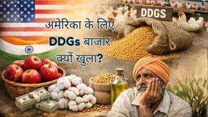 DDGS क्या है और क्यों खोले गए अमेरिका के लिए दरवाजे, जानें भारत पर इसका असर, सेब-सोयाबीन पर क्या बोली सरकार?