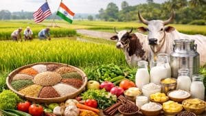 इन अनाजों-मसालों का व्यापार करते हैं तो अमेरिकी टैरिफ से सुरक्षित है आपका बाजार, डेयरी पर भी नहीं आई आंच