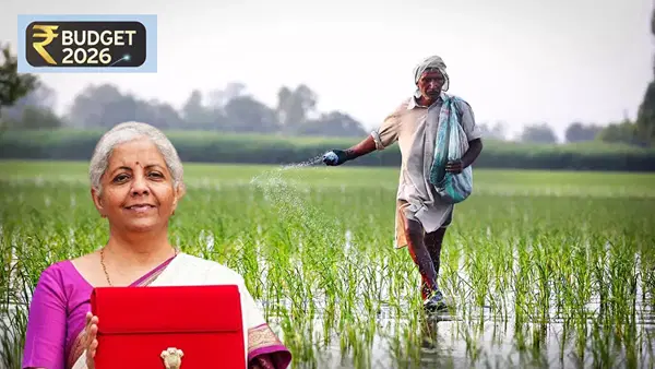 बजट 2026: फूड, फर्टिलाइजर और फ्यूल सब्सिडी खर्च में 4.47% की कटौती, सरकार को फिस्कल बैलेंस की राहत बजट 2026: फूड, फर्टिलाइजर और फ्यूल सब्सिडी खर्च में 4.47% की कटौती, सरकार को फिस्कल बैलेंस की राहत
