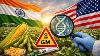 क्या होती है GM फसल, अमेरिका-भारत ट्रेड डील के बाद इसे लेकर क्यों छिड़ी बहस, जानें क्या है चिंता की वजह?
