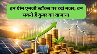 ग्रीन एनर्जी बूम में चमके Waaree, Suzlon समेत ये शेयर, मुनाफा और रेवेन्‍यू बढ़ा, ऑर्डर बुक भी मजबूत, बन सकते हैं कुबेर का खजाना