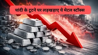 9% टूटी चांदी तो धराशायी हो गए ये मेटल स्‍टॉक, Hindustan Zinc समेत ये 5 शेयर 7% तक लुढ़के, बिकवाली का दिखा असर