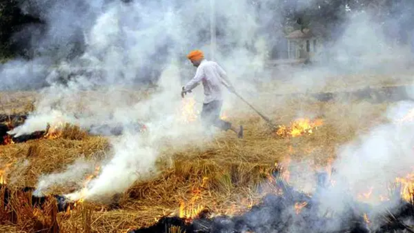 बिहार में पराली जलाने पर सख्ती, 1800 से ज्यादा किसानों की रोकी गईं सब्सिडी और DBT सुविधाएं बिहार में पराली जलाने पर सख्ती, 1800 से ज्यादा किसानों की रोकी गईं सब्सिडी और DBT सुविधाएं