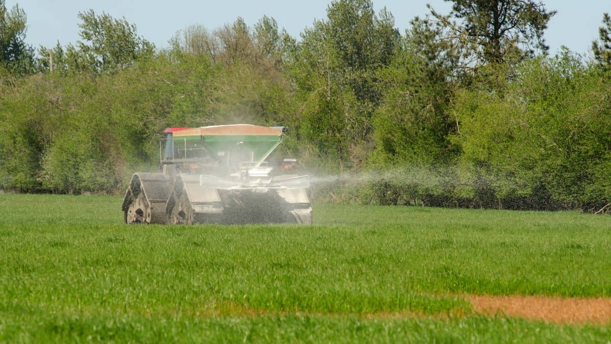 गैस संकट से आधा हुआ यूरिया उत्पादन, क्या खरीफ सीजन से पहले खाद की कमी बढ़ाएगी मुश्किलें? गैस संकट से आधा हुआ यूरिया उत्पादन, क्या खरीफ सीजन से पहले खाद की कमी बढ़ाएगी मुश्किलें?
