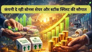 बोनस शेयर और स्‍टॉक स्प्लिट के ऐलान से गोली की तरह भागा ये फार्मा स्‍टॉक, 6% तक उछला, 5 टुकड़ों में बंटेगा शेयर
