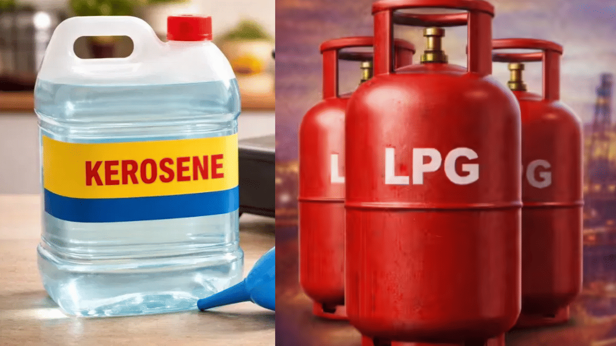 LPG संकट के बीच केरोसिन की वापसी, पेट्रोप पंपों पर भी शुरू होगी बिक्री; नियमों में ढील के साथ सरकार ने बढ़ाई सप्लाई LPG संकट के बीच केरोसिन की वापसी, पेट्रोप पंपों पर भी शुरू होगी बिक्री; नियमों में ढील के साथ सरकार ने बढ़ाई सप्लाई