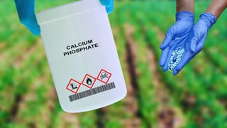 खरीफ के लिए पर्याप्त खाद लेकिन रबी में बढ़ सकती है परेशानी, जारी रहेंगी किसानों को सप्लाई, जानें डिटेल