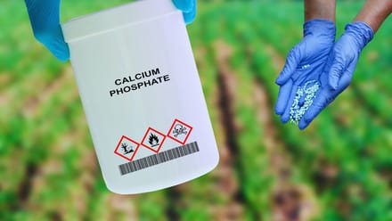 खरीफ के लिए पर्याप्त खाद लेकिन रबी में बढ़ सकती है परेशानी, जारी रहेगी किसानों को सप्लाई, जानें डिटेल