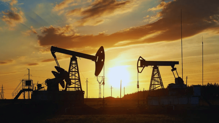 एनर्जी संकट के बीच भारत बना इस पड़ोसी देश का सहारा, किया 38000 मीट्रिक टन पेट्रोल-डीजल सप्लाई