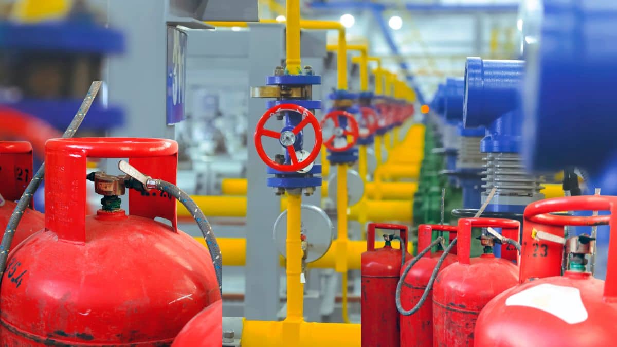 PNG का खजाना हैं भारत के ये इलाके, इसलिए LPG जैसी किल्लत नहीं, जानें कैसे पहुंचती है आपके घर PNG का खजाना हैं भारत के ये इलाके, इसलिए LPG जैसी किल्लत नहीं, जानें कैसे पहुंचती है आपके घर