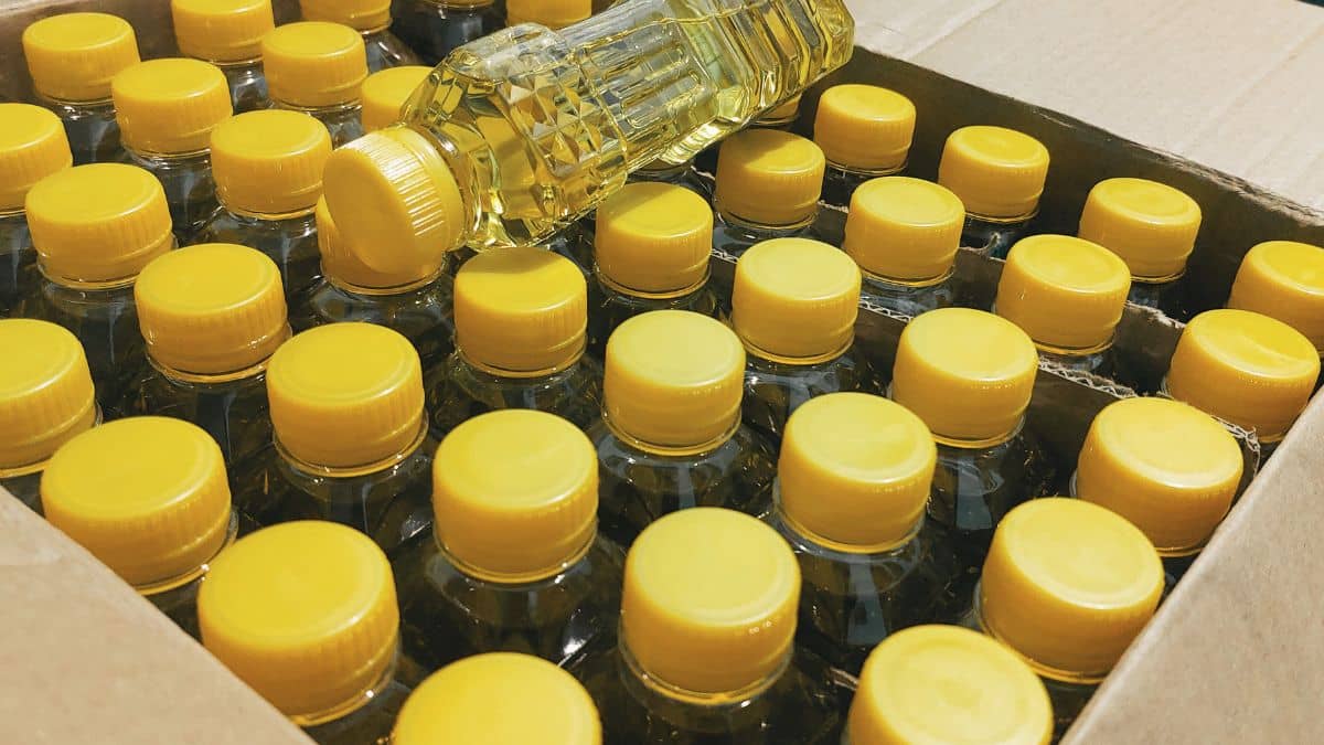 मार्च में 12 फीसदी बढ़ा एडिबल ऑयल का इंपोर्ट, 11.73 लाख टन पहुंचा सप्लाई, जानें क्या होगा असर मार्च में 12 फीसदी बढ़ा एडिबल ऑयल का इंपोर्ट, 11.73 लाख टन पहुंचा सप्लाई, जानें क्या होगा असर