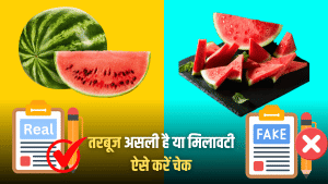 तरबूज असली है या मिलावटी… खाने से पहले ऐसे करें चेक, मुंबई में 4 मौतों से उठे ये सवाल