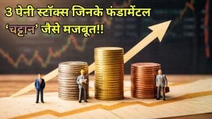 चट्टान जैसे मजबूत फंडामेंटल वाले 3 पेनी स्टॉक्स! कर्ज मुक्त है कंपनियां, एक नवरत्न, दूसरी ₹30 से भी कम