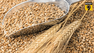 UP के किसानों को बड़ी राहत, अब बिना ऑनलाइन रजिस्ट्रेशन भी MSP पर बेच सकेंगे गेहूं; जानें कारण