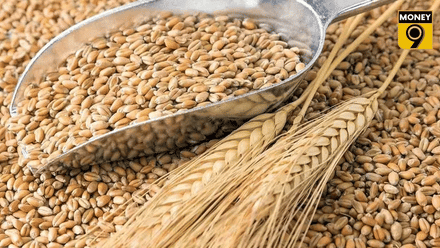 UP के किसानों को बड़ी राहत, अब बिना ऑनलाइन रजिस्ट्रेशन भी MSP पर बेच सकेंगे गेहूं; जानें कारण