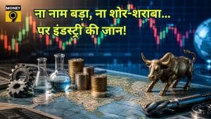 दिग्गज नहीं, इन 3 ‘स्पेशलिस्ट’ कंपनियों का है बोलबाला! मार्केट के वो छिपे उस्ताद जिनके बिना इंडस्ट्री है अधूरी